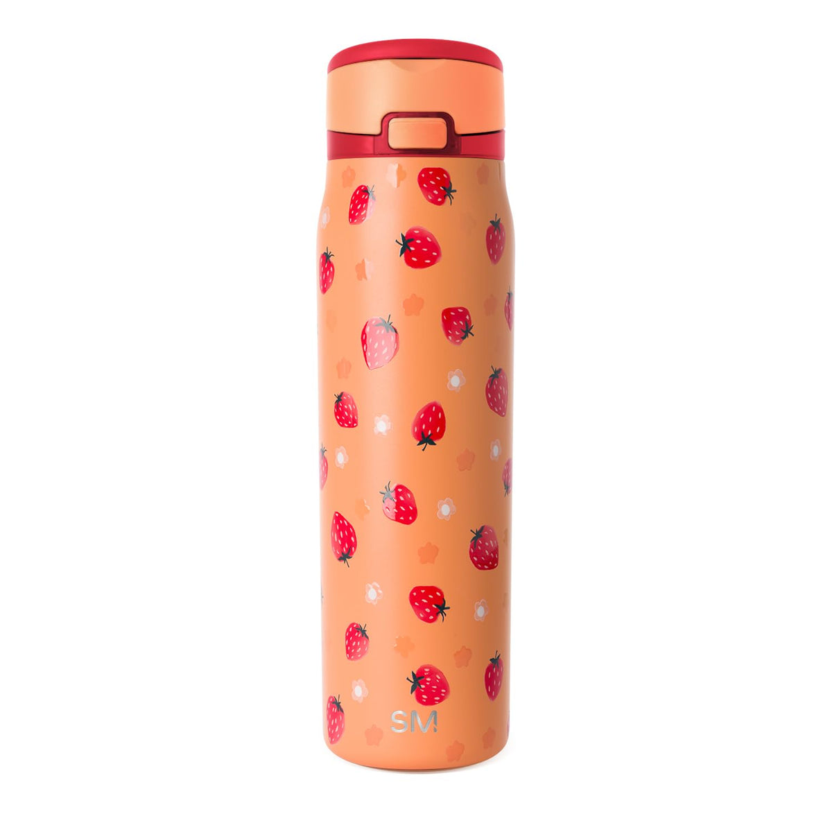 Simple Modern Water Bottle with Straw & Handle | 30oz | Tortoise
