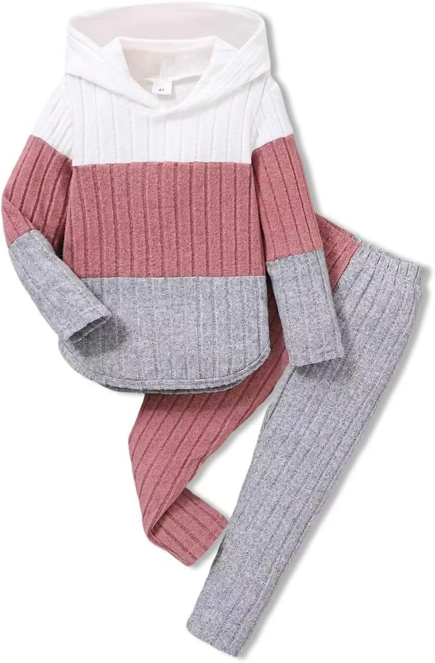 Girls Clothes Fall Girl Outfits 2Pcs Hoodie Pullover Sweatshirt+Pant+Leggings Winter Set for Size 4-8 Years Little Girls