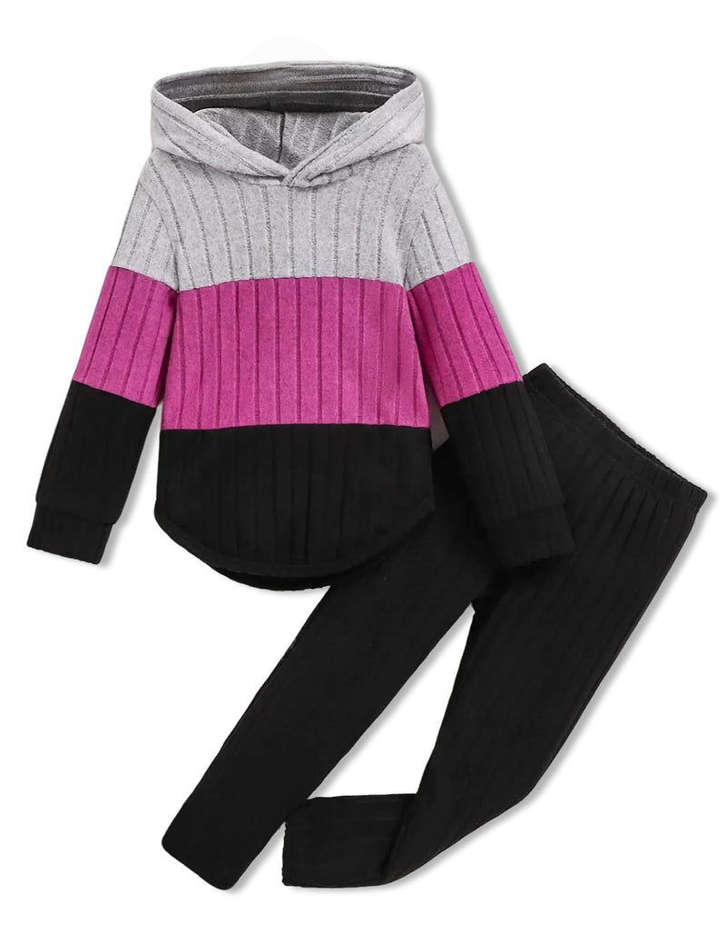 Girls Clothes Fall Girl Outfits 2Pcs Hoodie Pullover Sweatshirt+Pant+Leggings Winter Set for Size 4-8 Years Little Girls