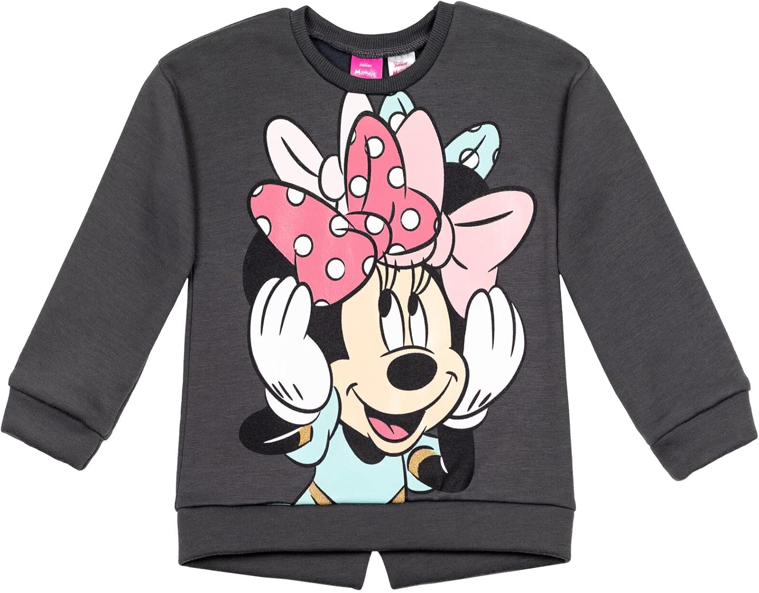 Disney Minnie Mouse Fleece Sweatshirt and Pants Outfit Set Newborn to Big Kid Sizes (Newborn - 14-16)