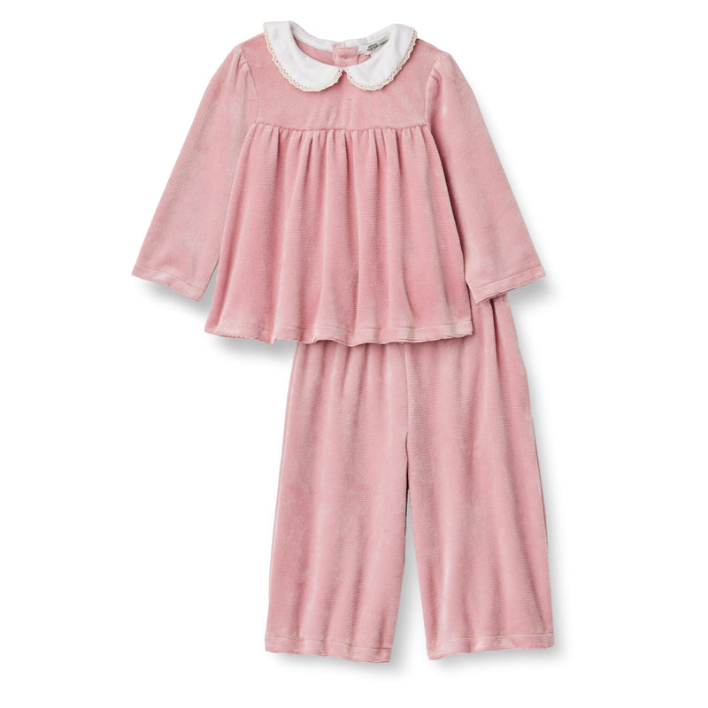 Amazon Essentials x Sofia Grainge Toddlers and Baby Girls' Corduroy Velour Set